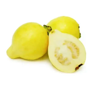 جوافة