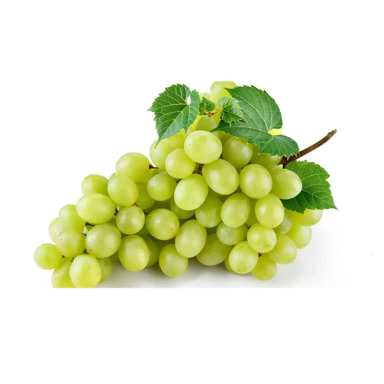 عنب