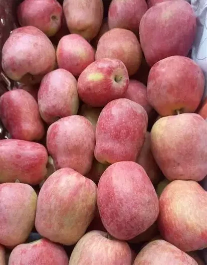 تفاح بلدي